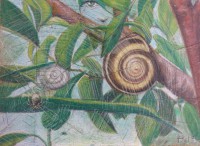 /album/aus-tagtraumen-gefischt/imag0372-2-jpg/